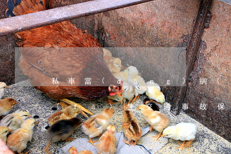 私車當(dāng)網(wǎng)約車發(fā)生交通事故，保險公司拒賠是否合理？